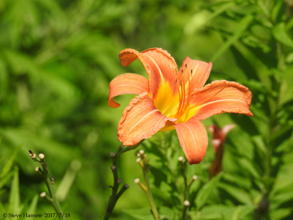 DSCN2268.jpg