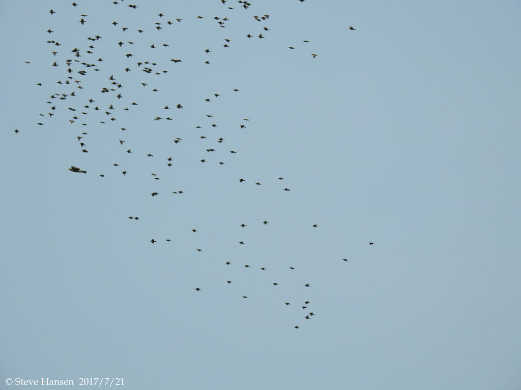 DSCN2272.jpg