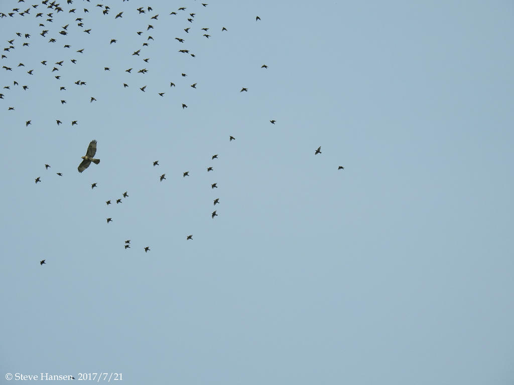 DSCN2273.jpg