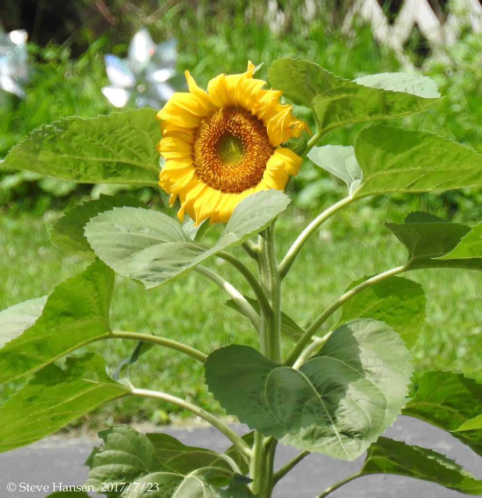 DSCN2288.jpg