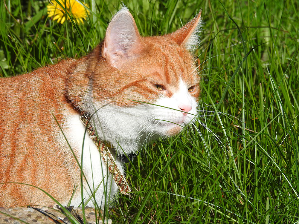 DSCN2296.jpg