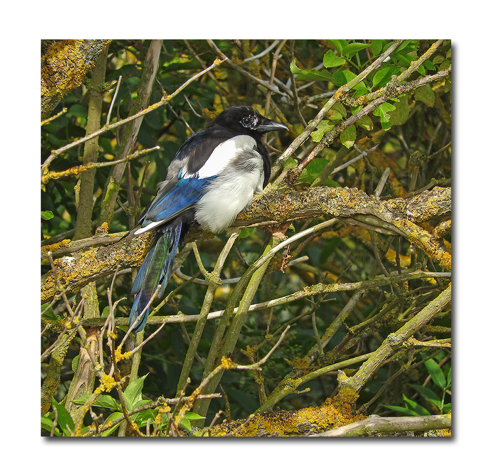 DSCN2301.jpg