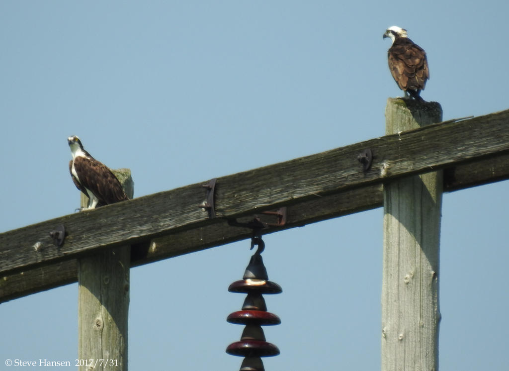 DSCN2317.jpg