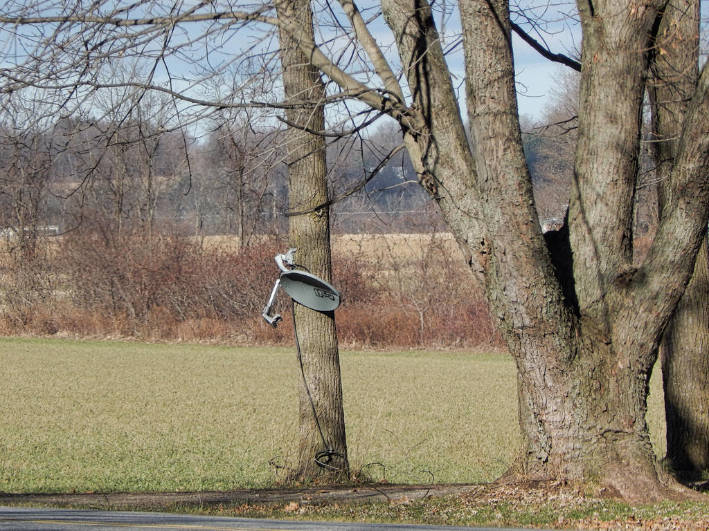 DSCN2329-1.jpg