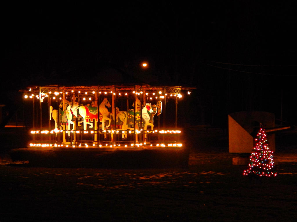 DSCN2344-1.jpg