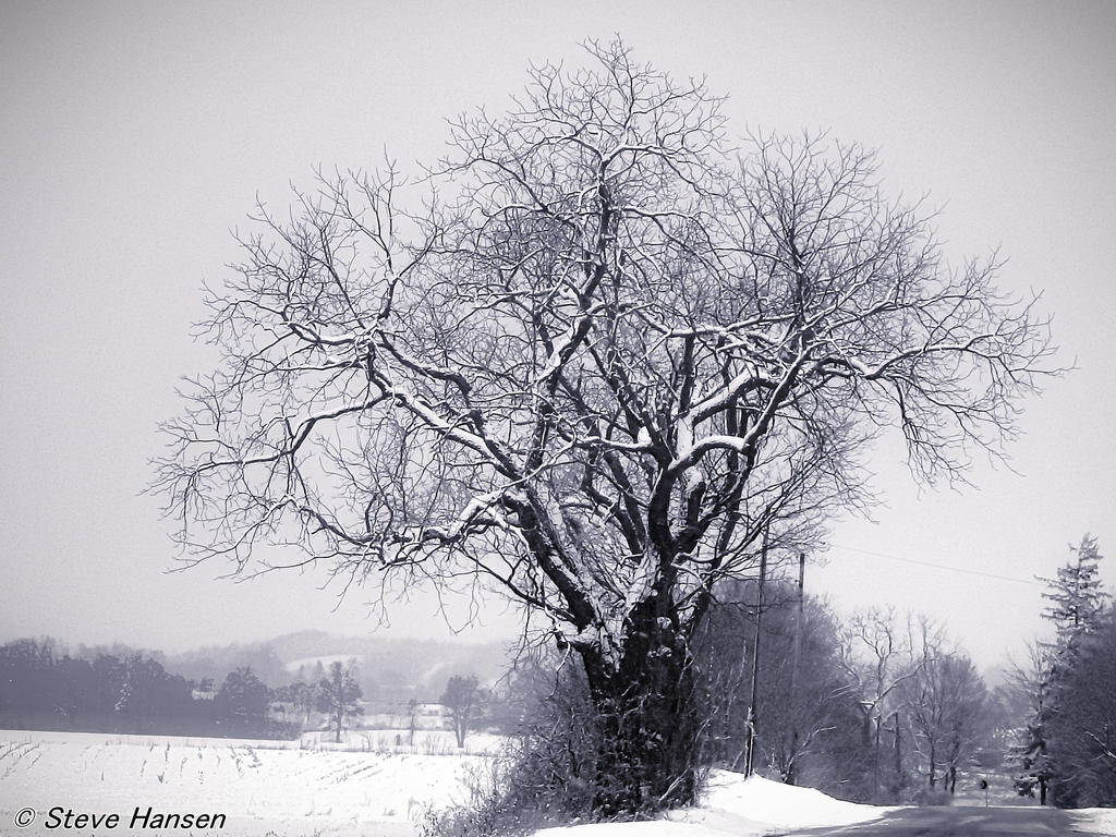 DSCN2353.jpg