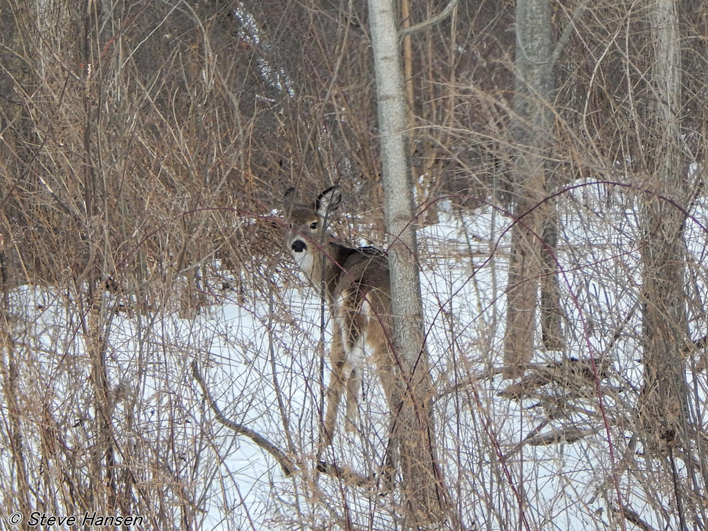 DSCN2378.jpg