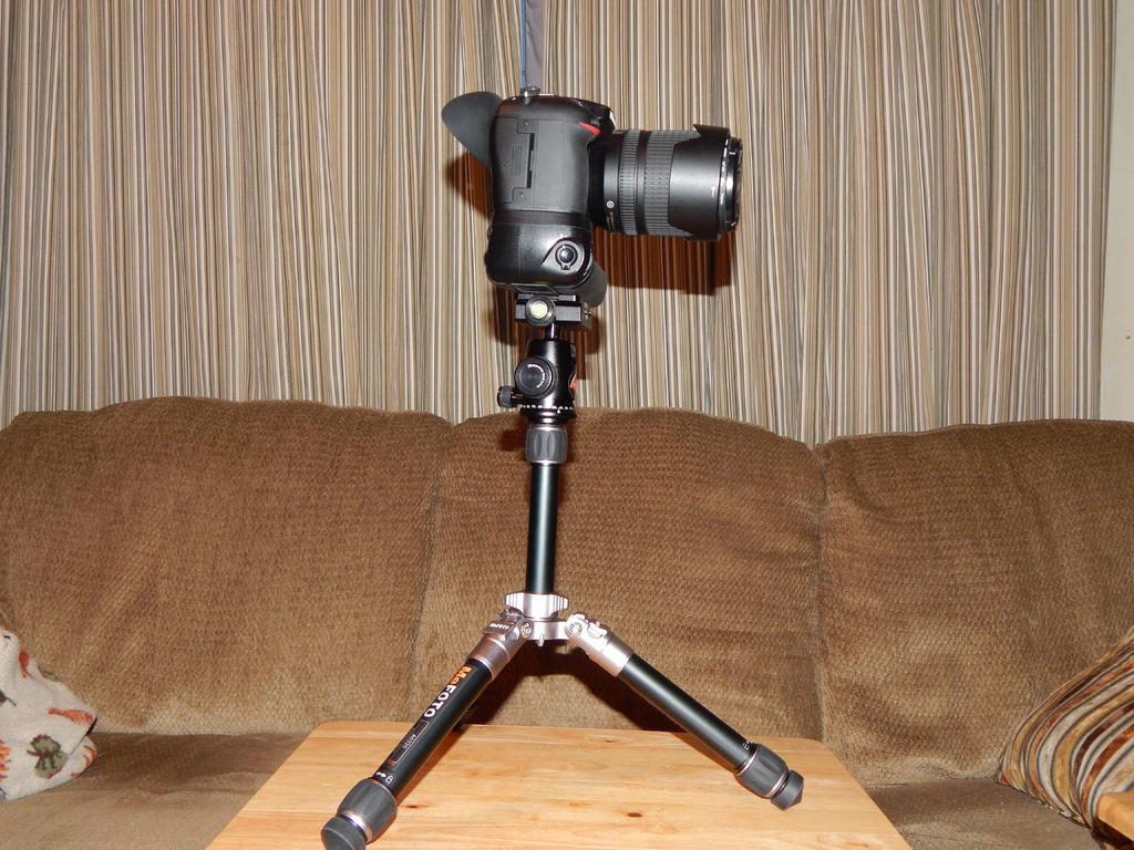 DSCN2401.jpg