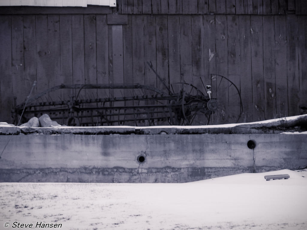 DSCN2407.jpg