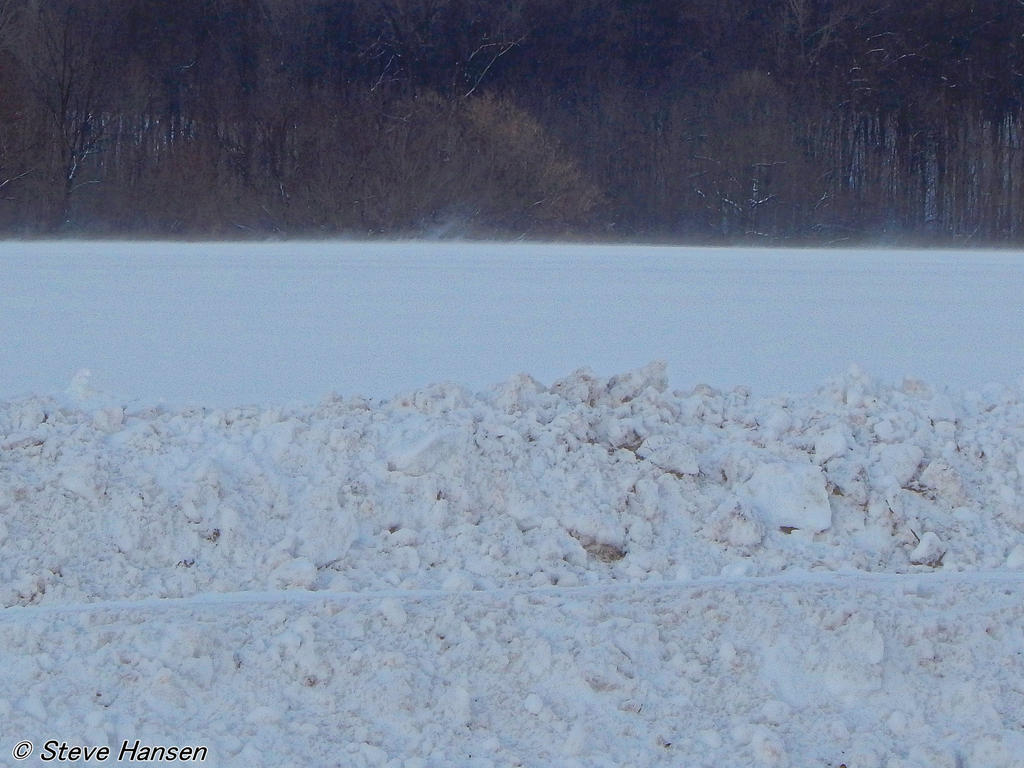 DSCN2411.jpg