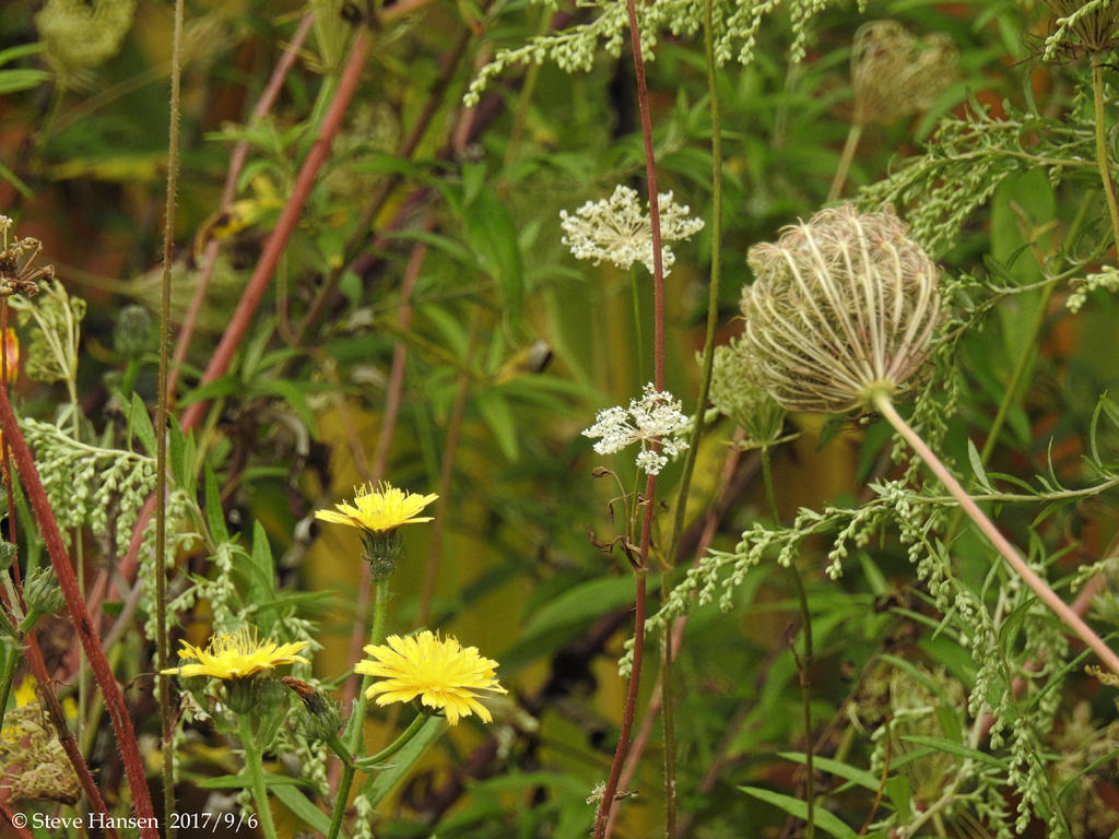 DSCN2471.jpg
