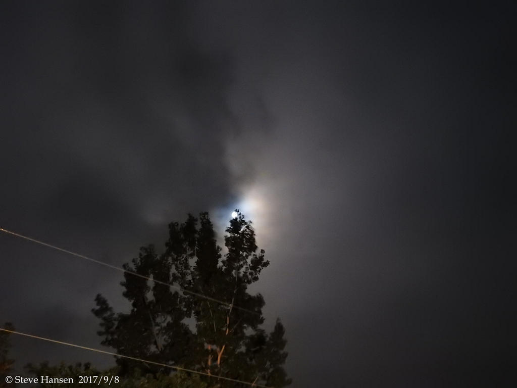DSCN2484.jpg