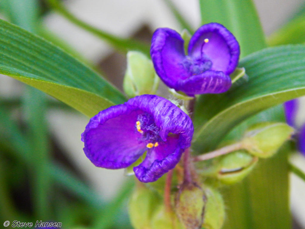 DSCN2486.jpg