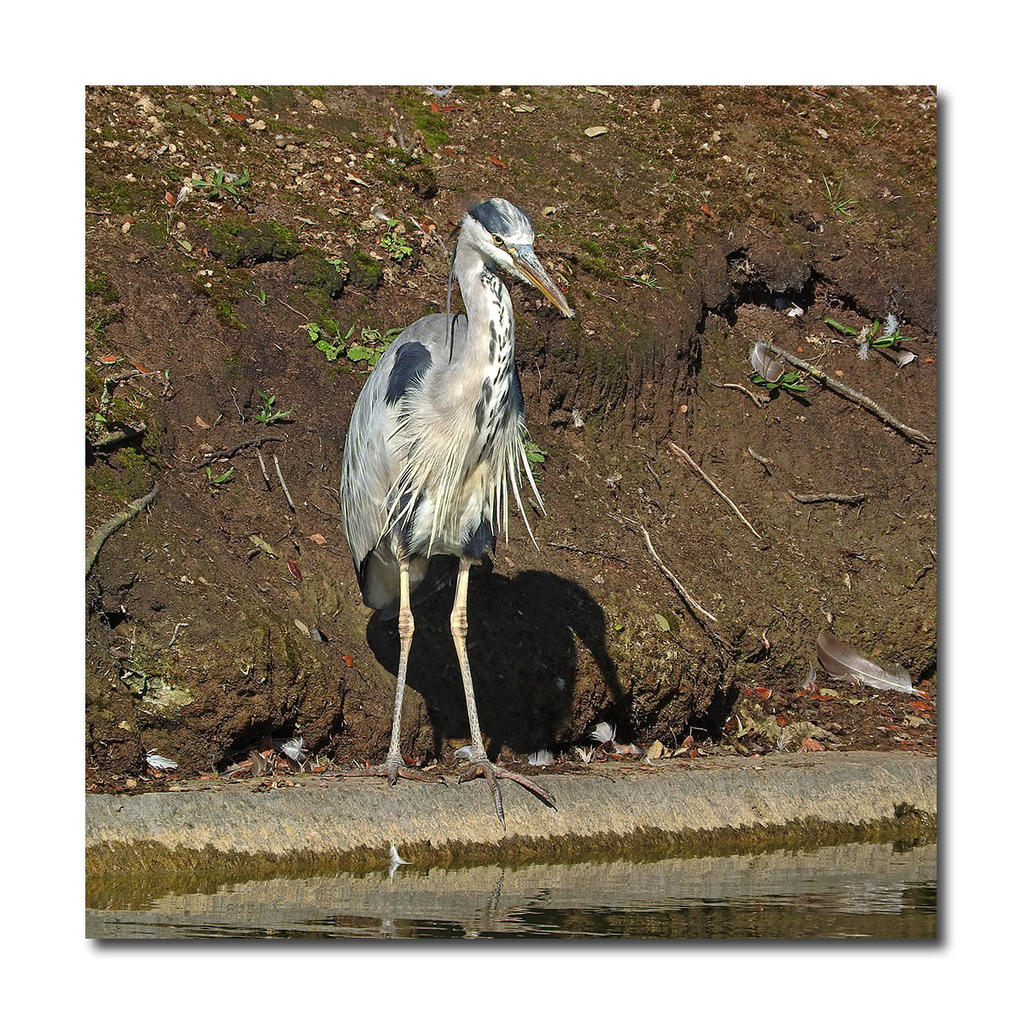 DSCN2508.jpg