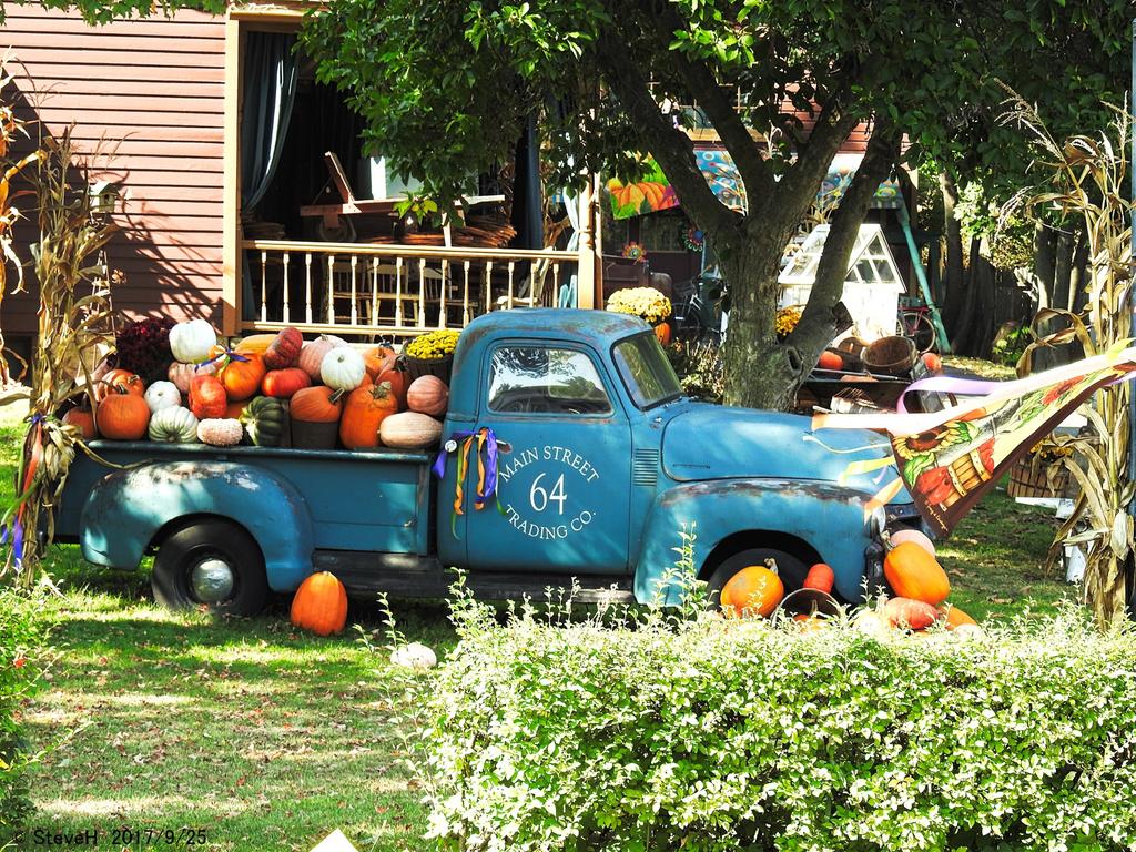 DSCN2543.jpg