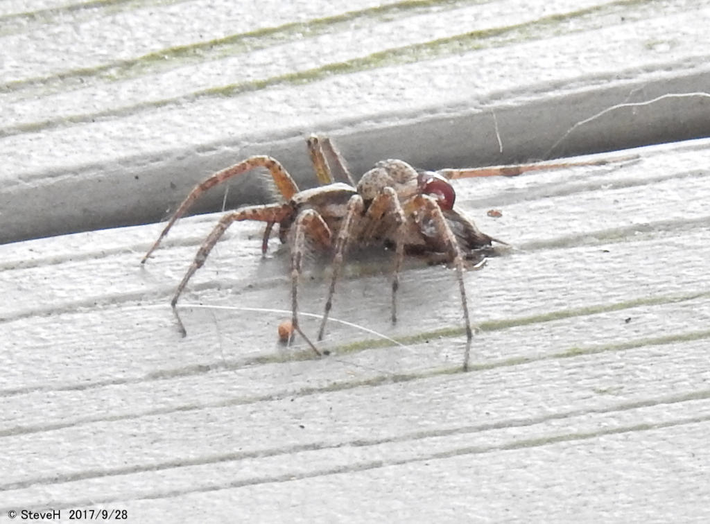 DSCN2554.jpg