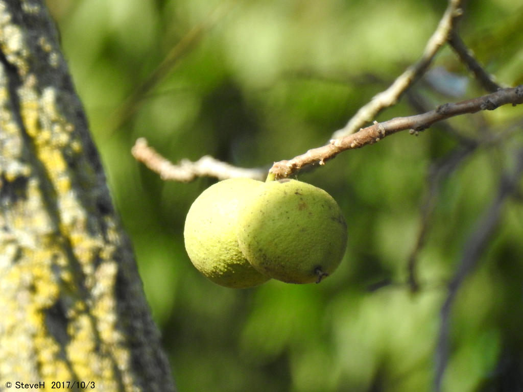 DSCN2562.jpg