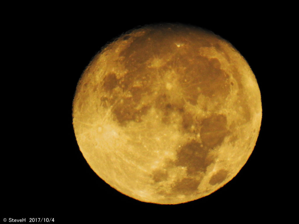 DSCN2567.jpg