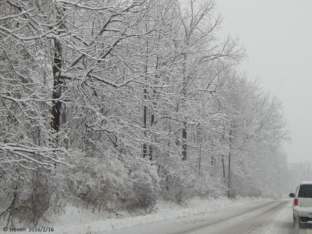 DSCN2612.jpg
