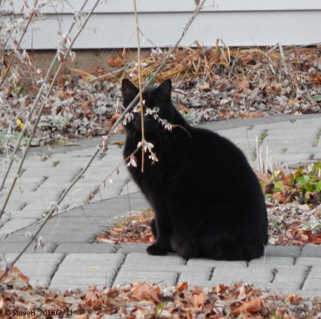 DSCN2616.jpg