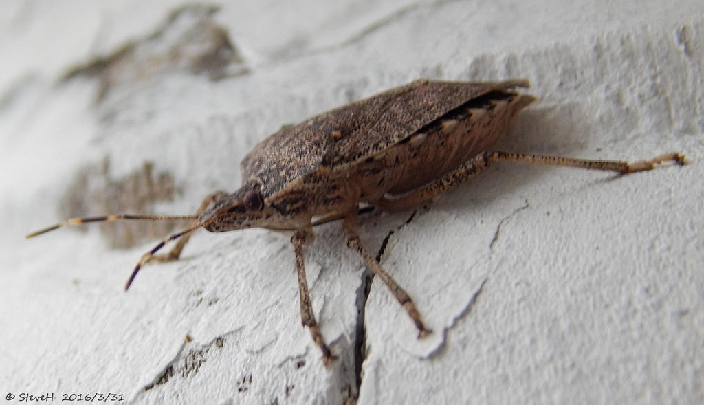 DSCN2639.jpg