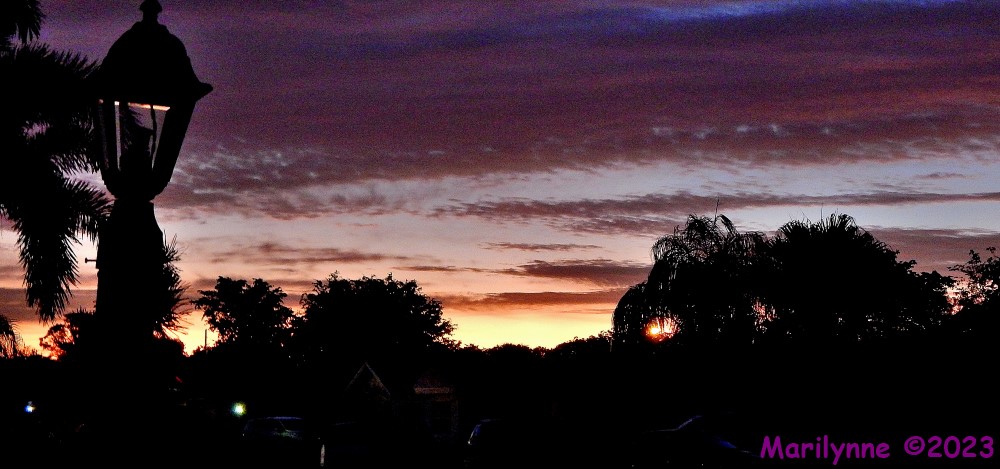 DSCN2709_001.JPG