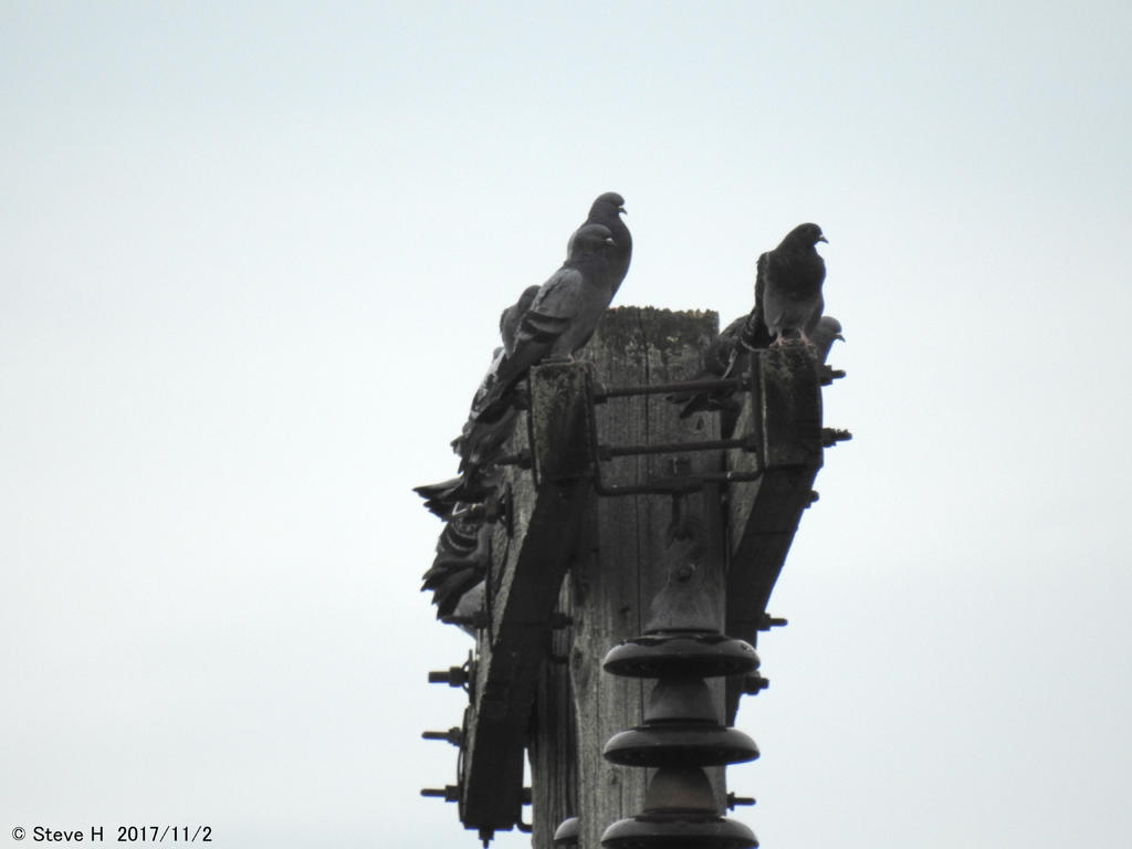 DSCN2716.jpg