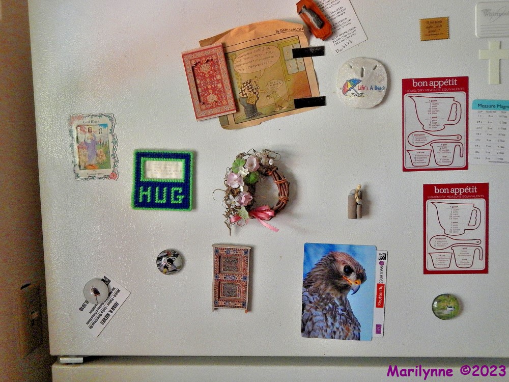 DSCN2744_001.JPG