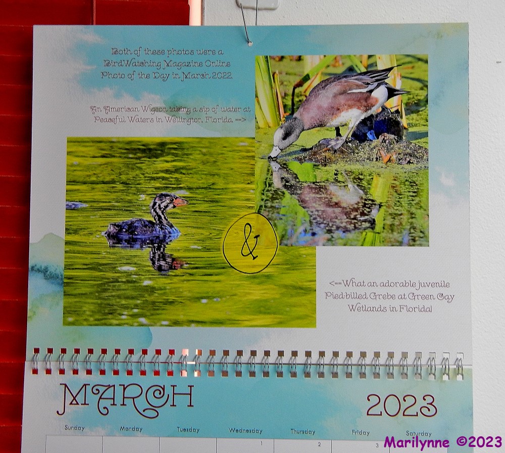 DSCN2745_001.JPG