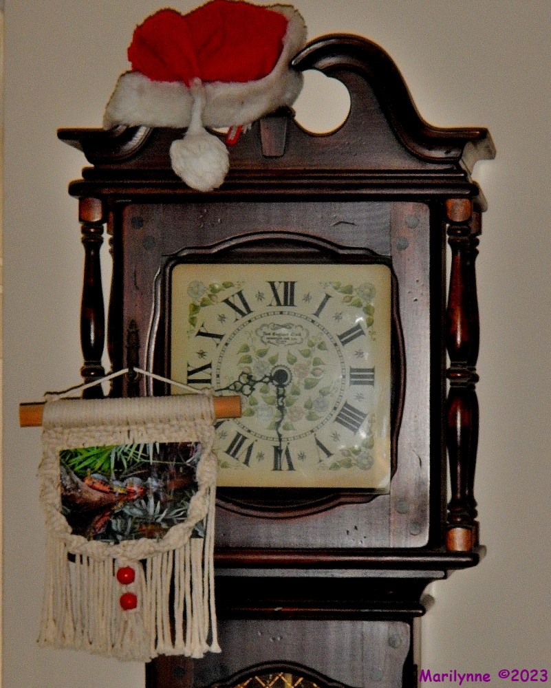 DSCN2786_001.JPG