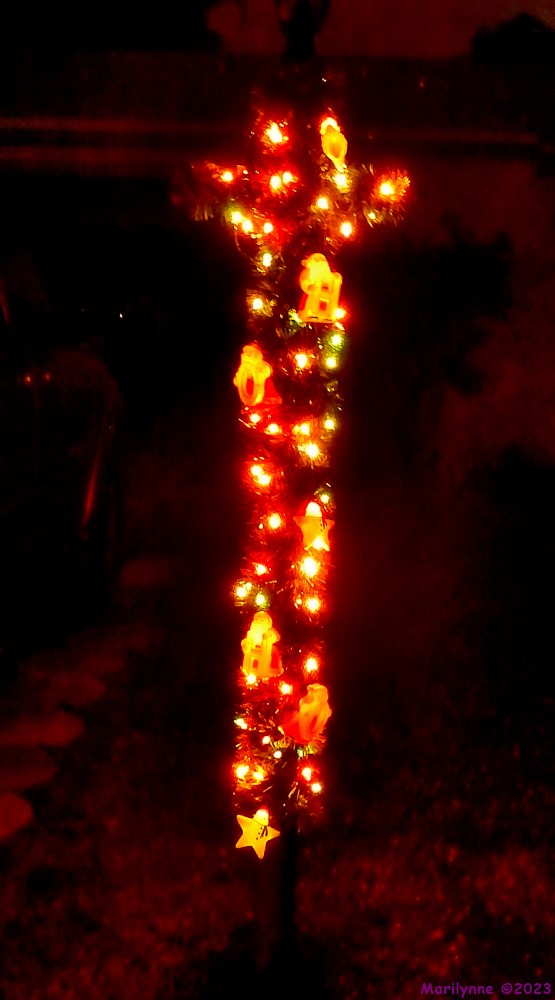 DSCN2797_001.JPG