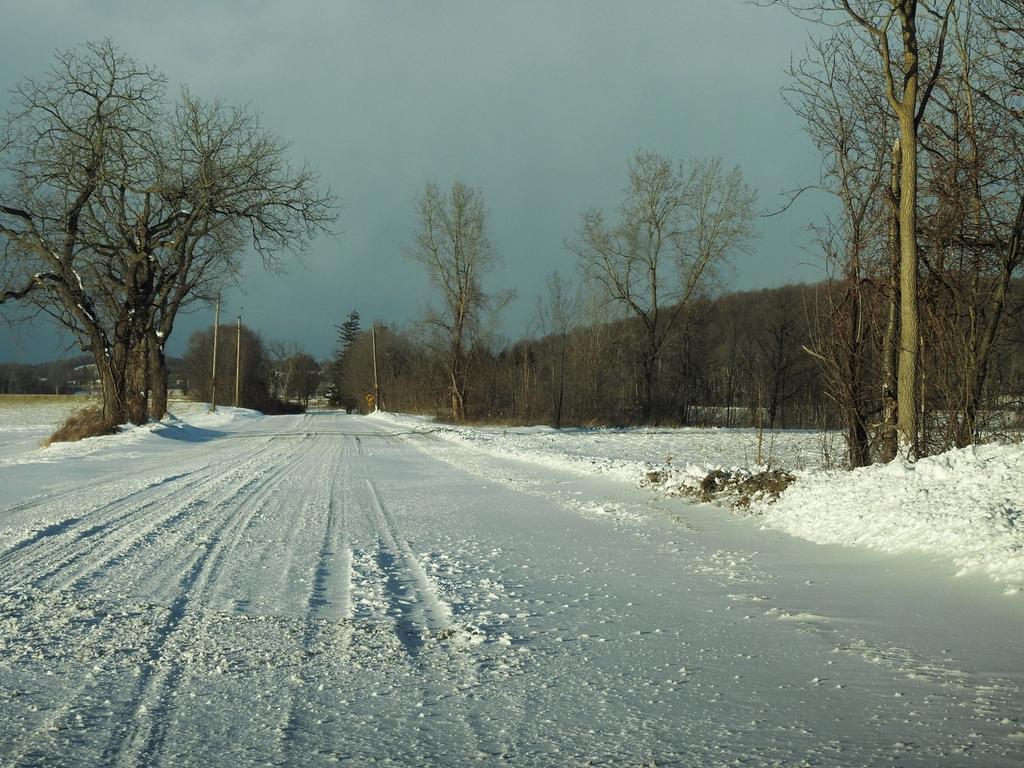 DSCN2886-1.jpg