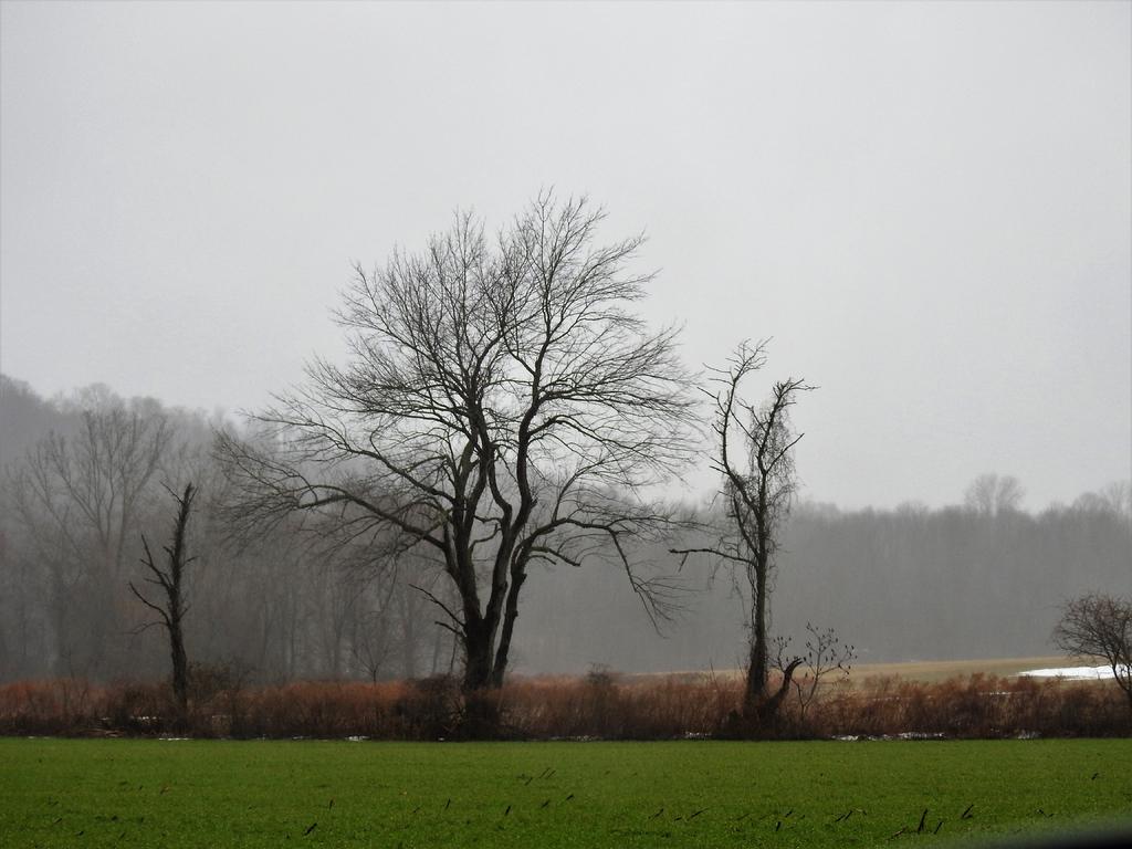 DSCN2922.jpg