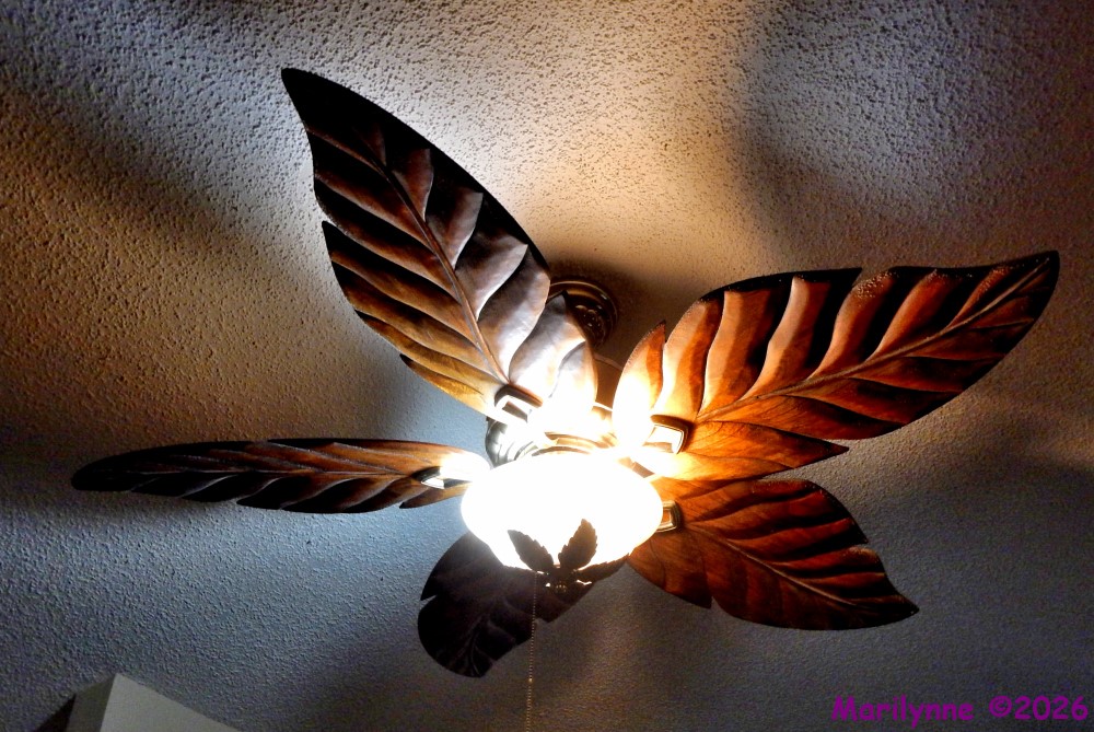DSCN2922_001.JPG