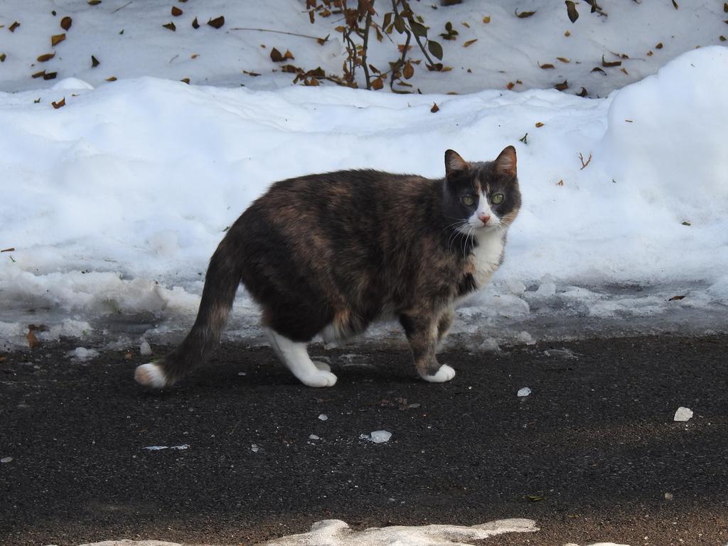 DSCN2935.jpg