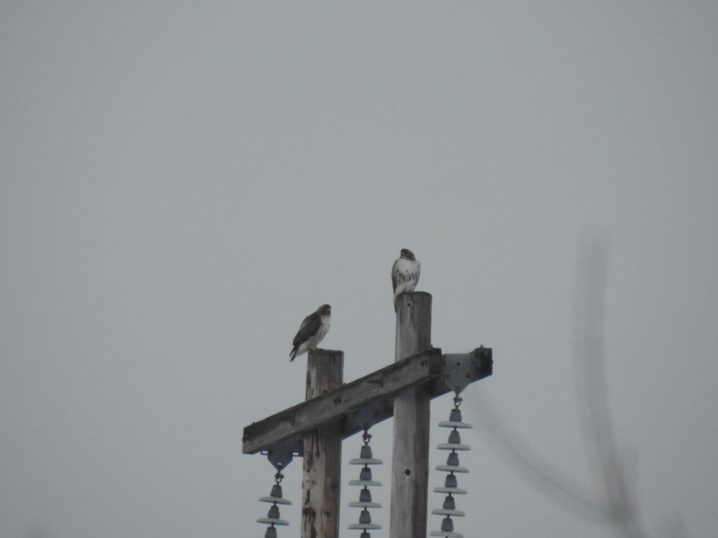 DSCN2941.jpg