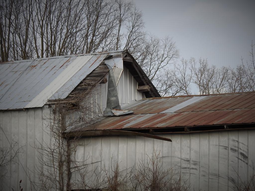 DSCN2948.jpg
