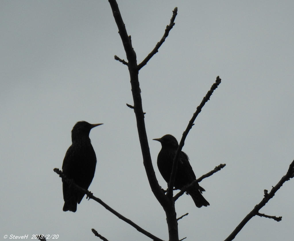 DSCN3022.jpg