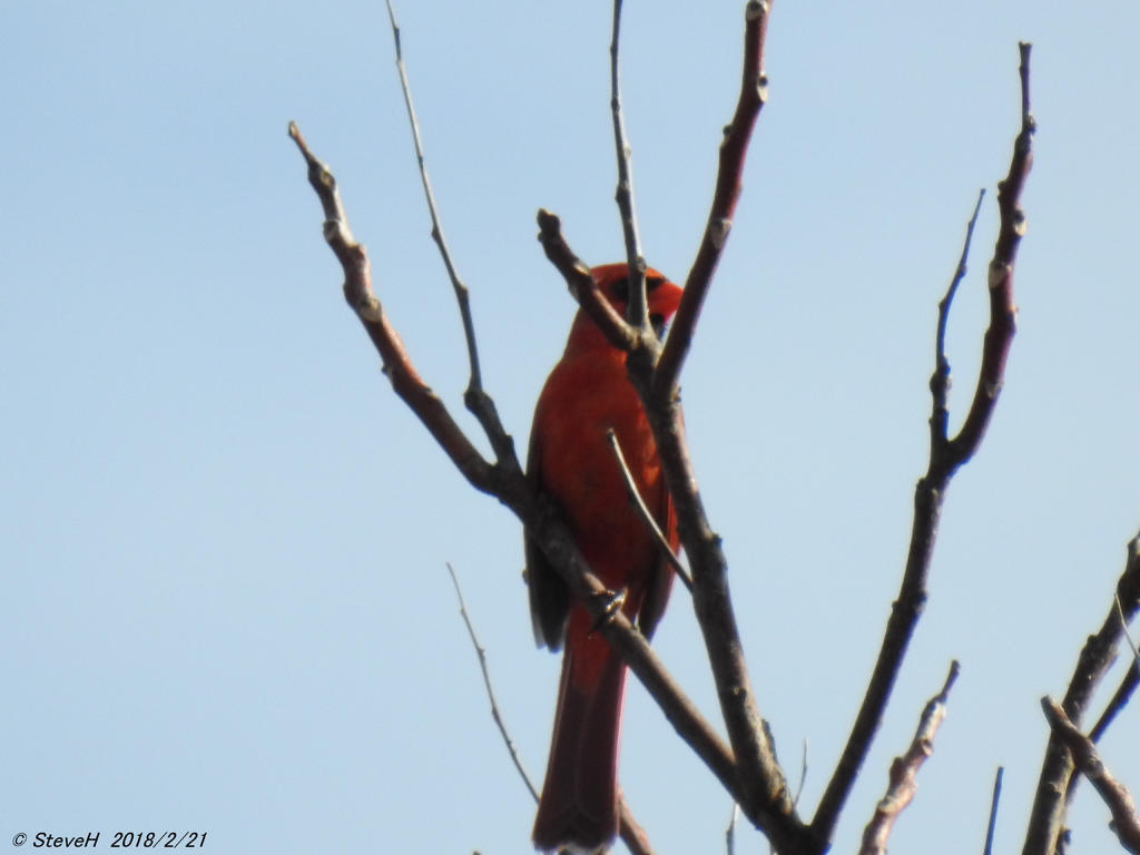 DSCN3035.jpg