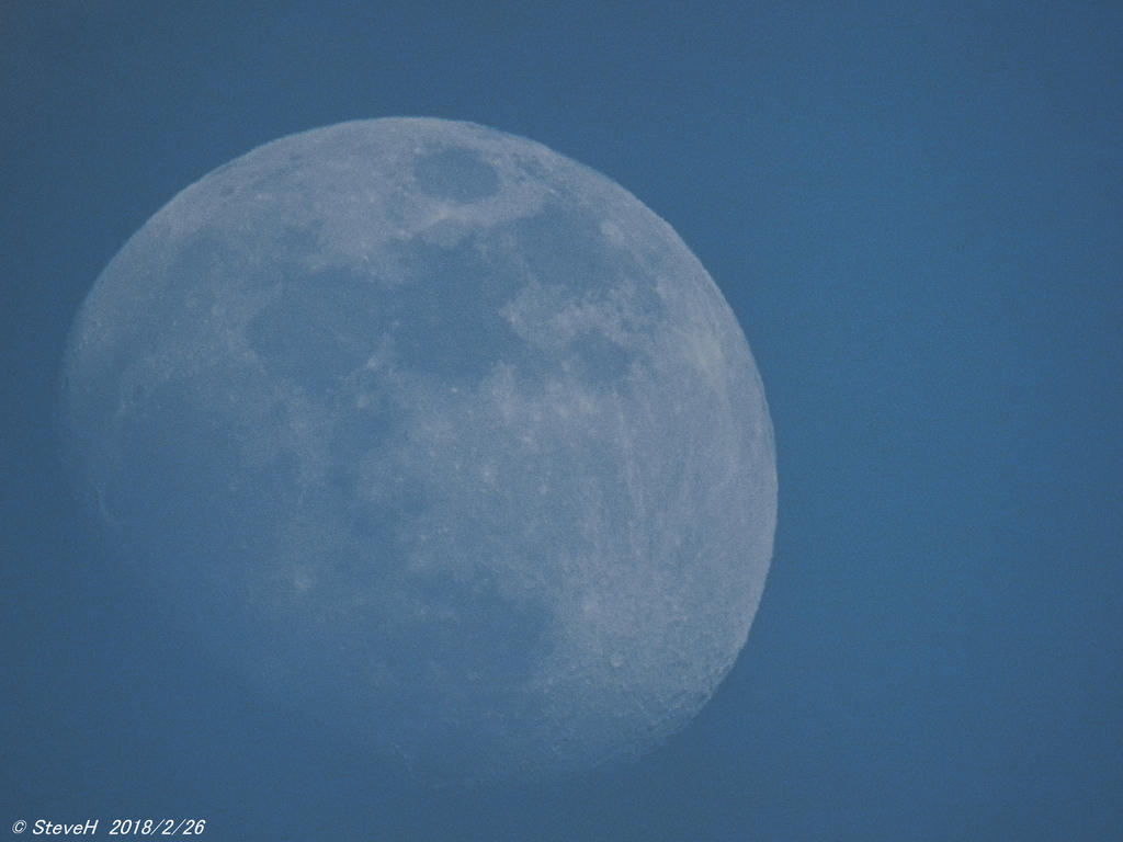 DSCN3036.jpg