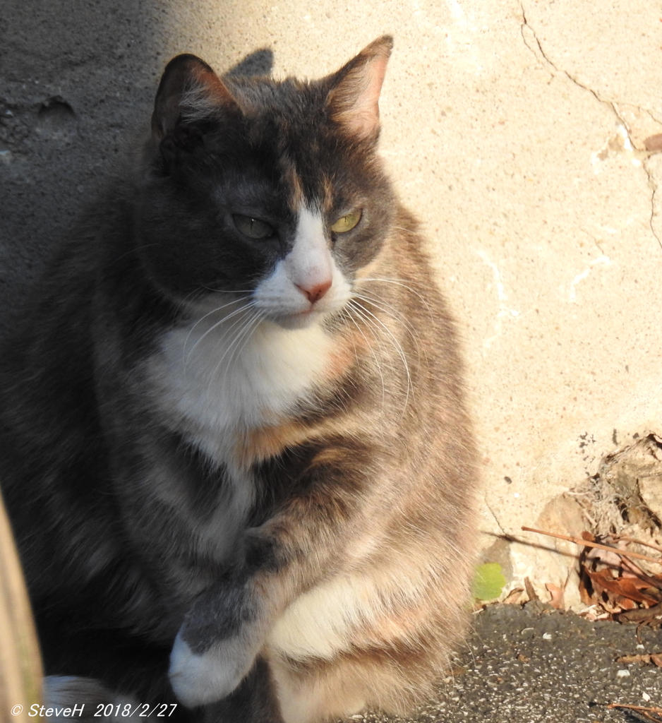 DSCN3041.jpg