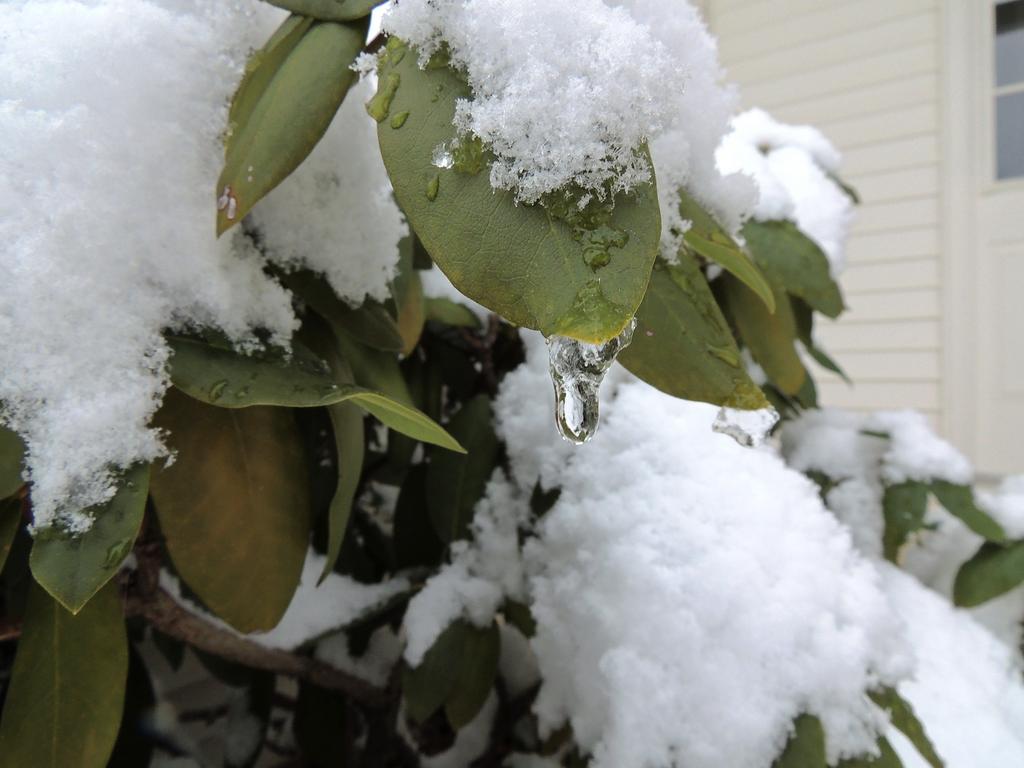 DSCN3078.jpg