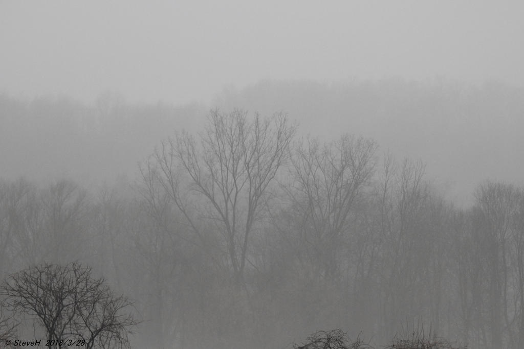 DSCN3167.jpg