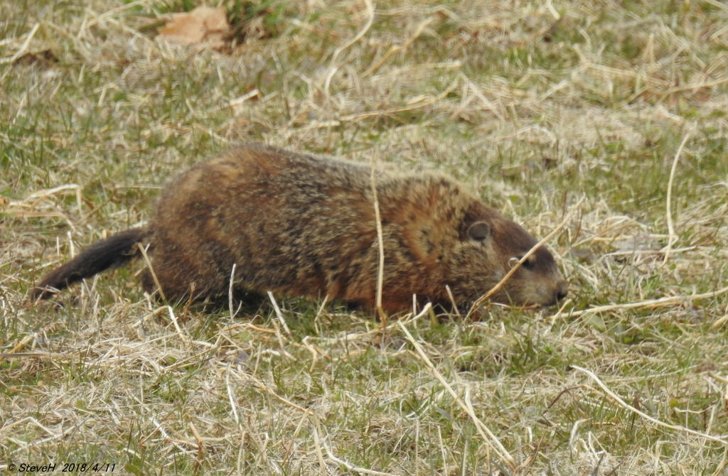 DSCN3231.jpg