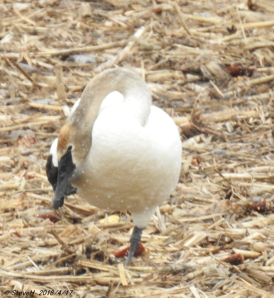 DSCN3241.jpg
