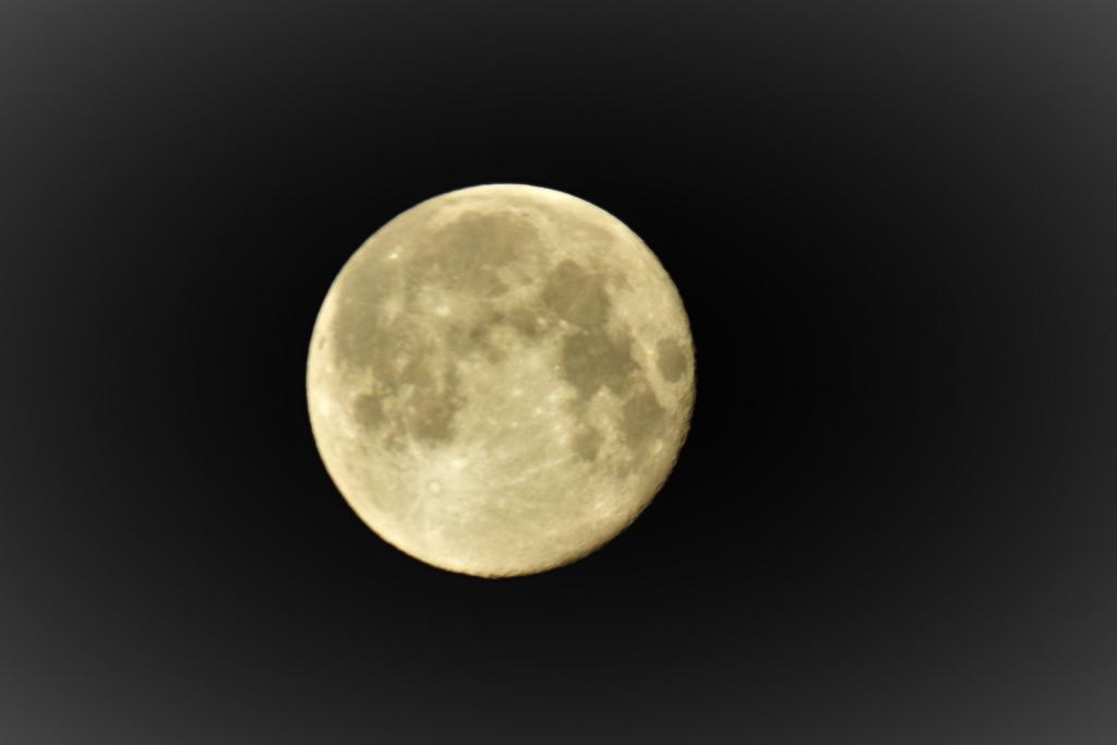 DSCN3267.jpg