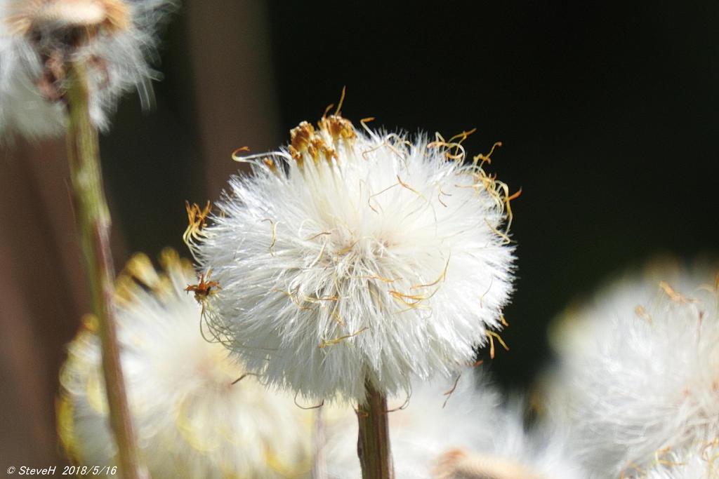 DSCN3308.jpg