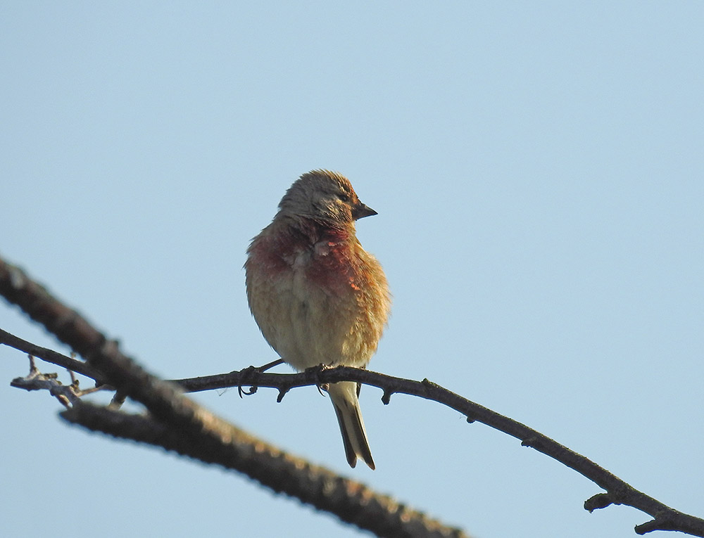 DSCN3316.jpg