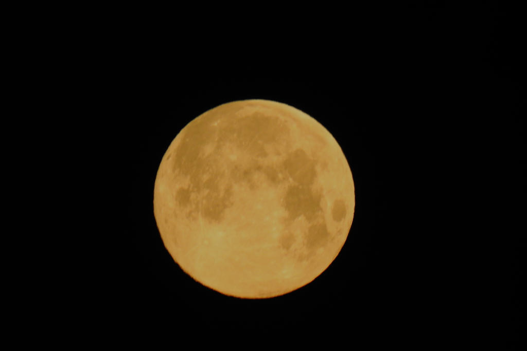 DSCN3335.jpg