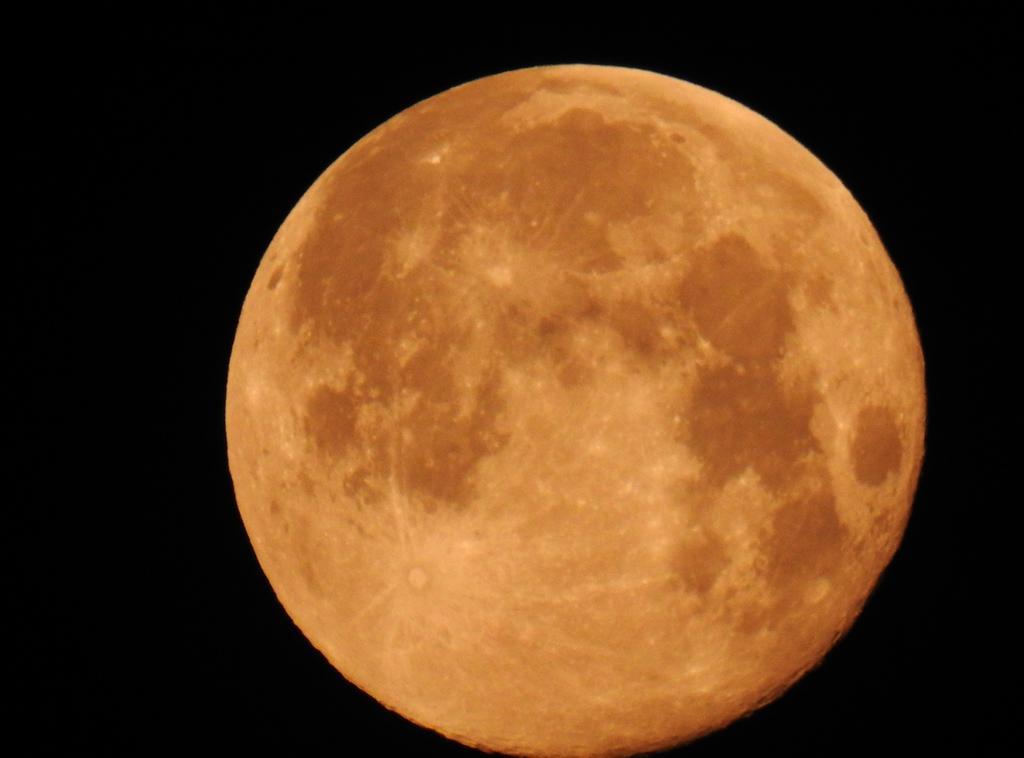 DSCN3343.jpg